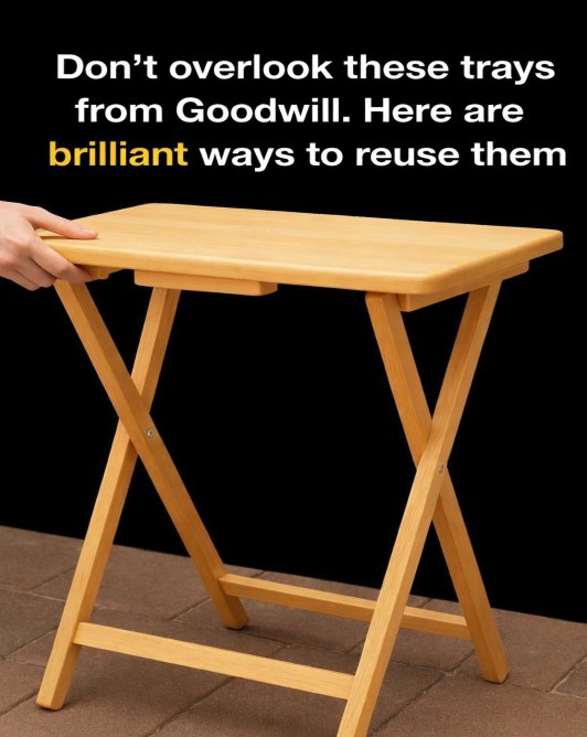 Transform Goodwill Trays with These Brilliant Reuse Tips