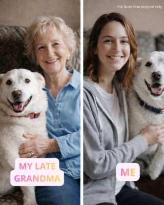 My Grandma Gave My Greedy Cousin $100,000—And Left Me Only Her Old Dog… Until I Noticed His Collar.