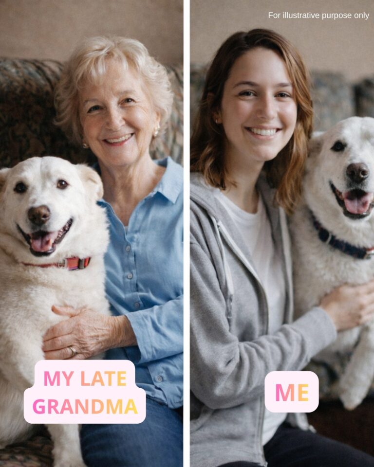 My Grandma Gave My Greedy Cousin $100,000—And Left Me Only Her Old Dog… Until I Noticed His Collar.