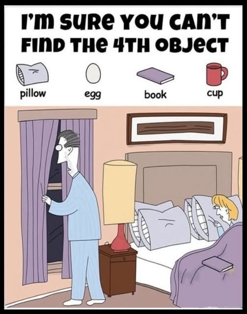 Spot the Hidden Objects: Can You Find the Book, Egg, Cup, and Pillow?