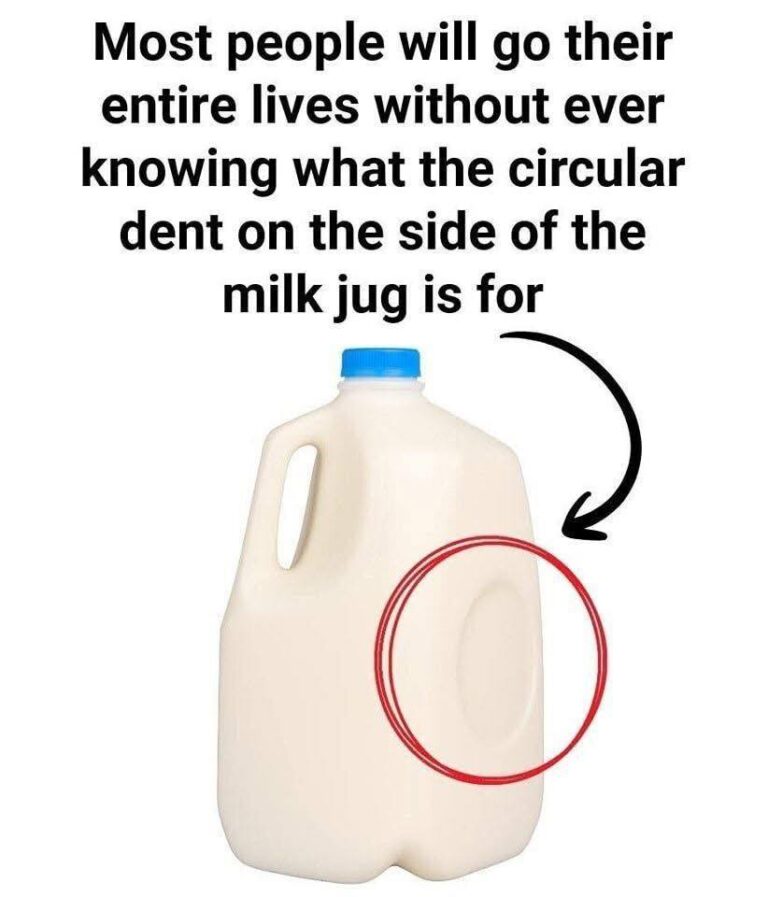 Why Milk Jugs Have a Circular Dent — The Real Reason Explained