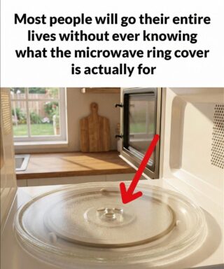 The Surprising Role of Your Microwave’s Ring Cover