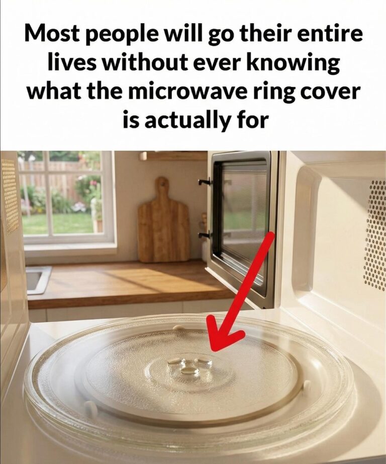 The Surprising Role of Your Microwave’s Ring Cover