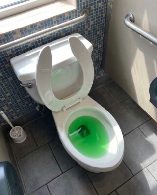 We Had to Call a Plumber After a Major Toilet Clog