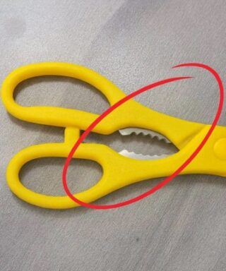 What’s That Strange Toothy Part on Kitchen Scissors For?