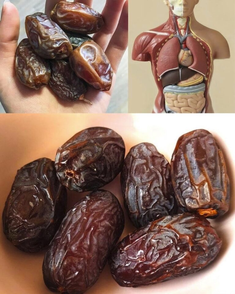 The Incredible Benefits of Dates: A Nutrient-Packed Superfood