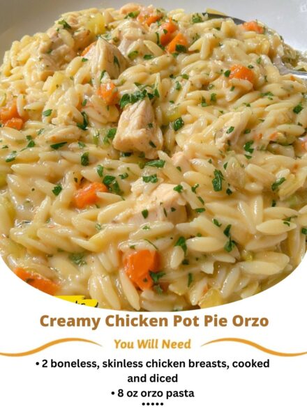 Creamy Chicken Pot Pie Orzo