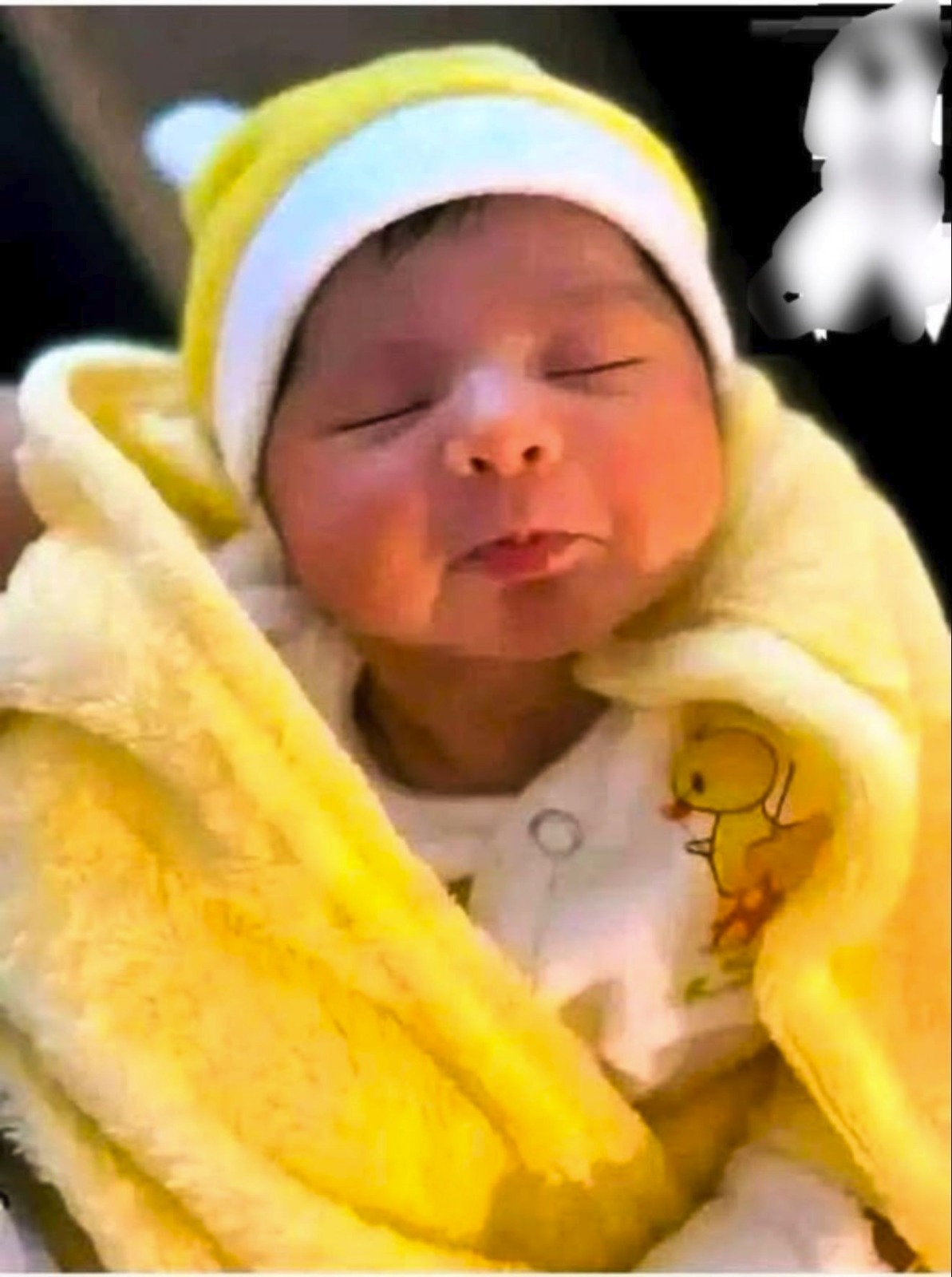 The Daughter of the Famous Singer Has Just Passed Away