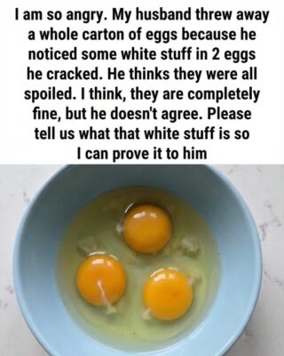 The Mystery of the White Strand in Eggs Explained Simply