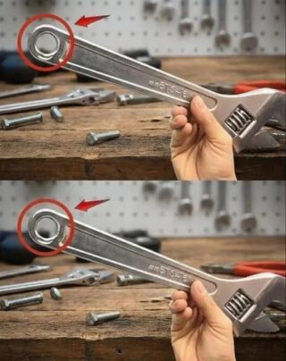 Most People Don’t Use This Common Tool to Its Full Potential