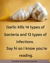 Raw garlic: the natural antibiotic your grandmothers used and science now confirms