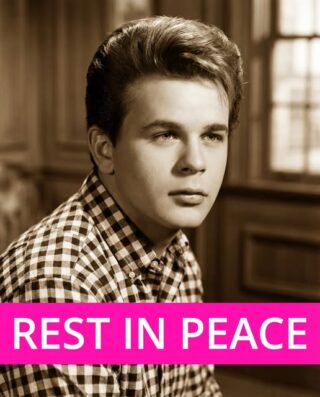Iconic Teen Star and Music Legend Passes Away at 82
