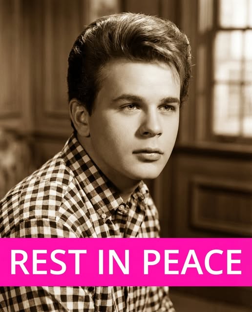 Iconic Teen Star and Music Legend Passes Away at 82