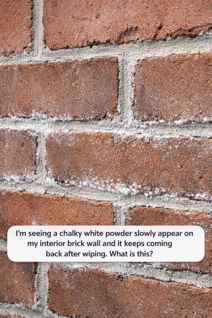 I’m seeing a chalky white powder slowly appear on my interior brick wall and it keeps coming back after wiping. What is this?