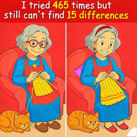 Test Your Observation Skills With This 15-Difference Puzzle