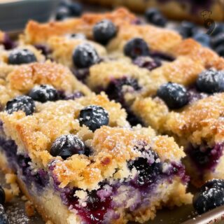 Blueberry Buckle with Brown Sugar Topping