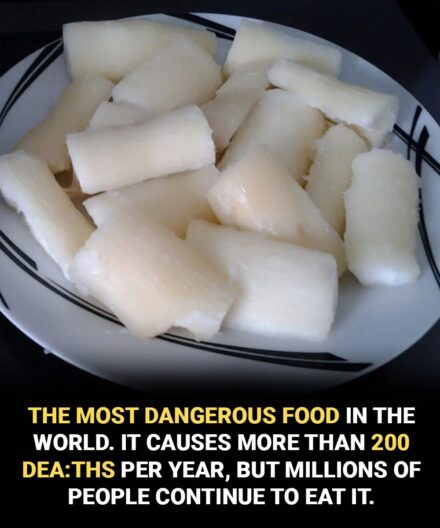 Over 200 People Are Killed by the