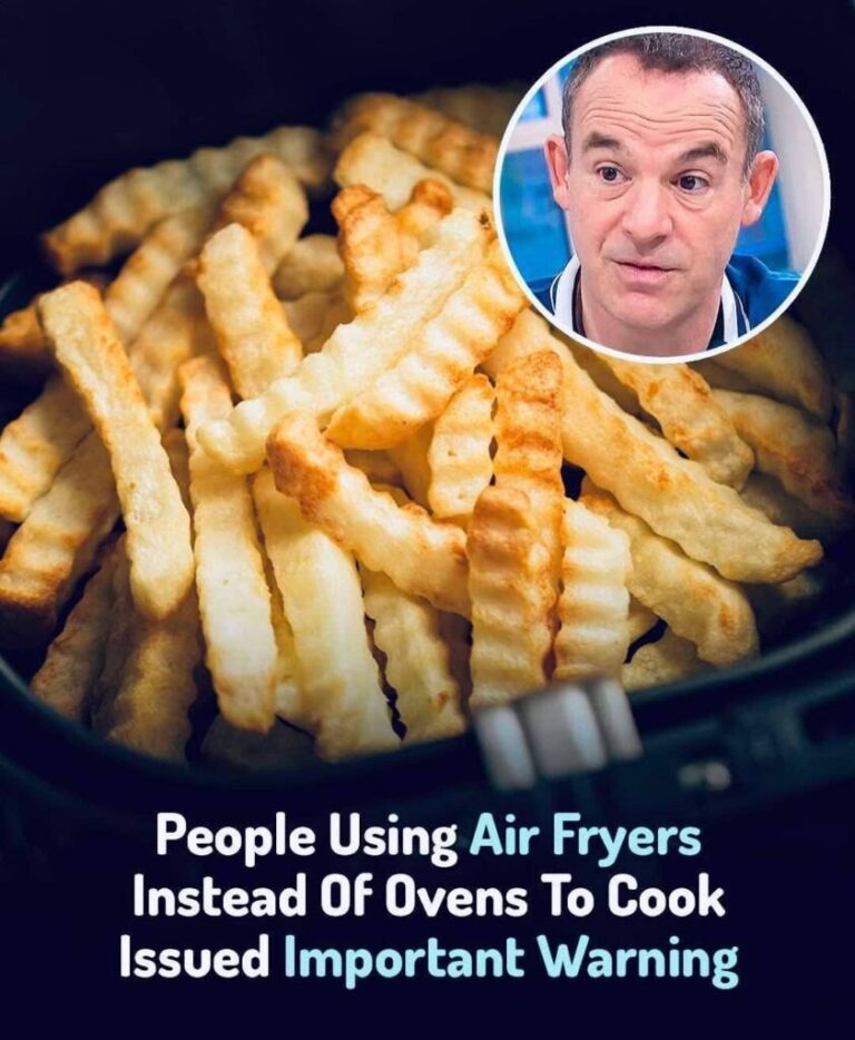 Experts caution against using air fryers instead of ovens…
