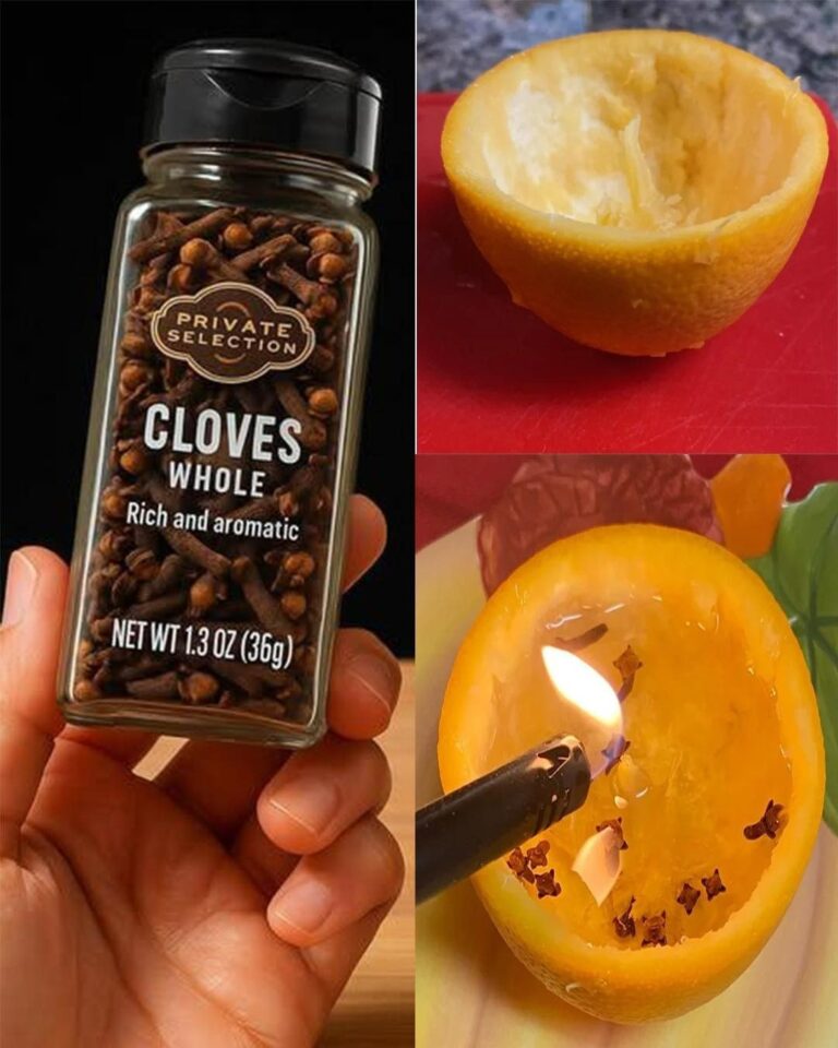 The Magic of a Clove-Scented Orange Candle