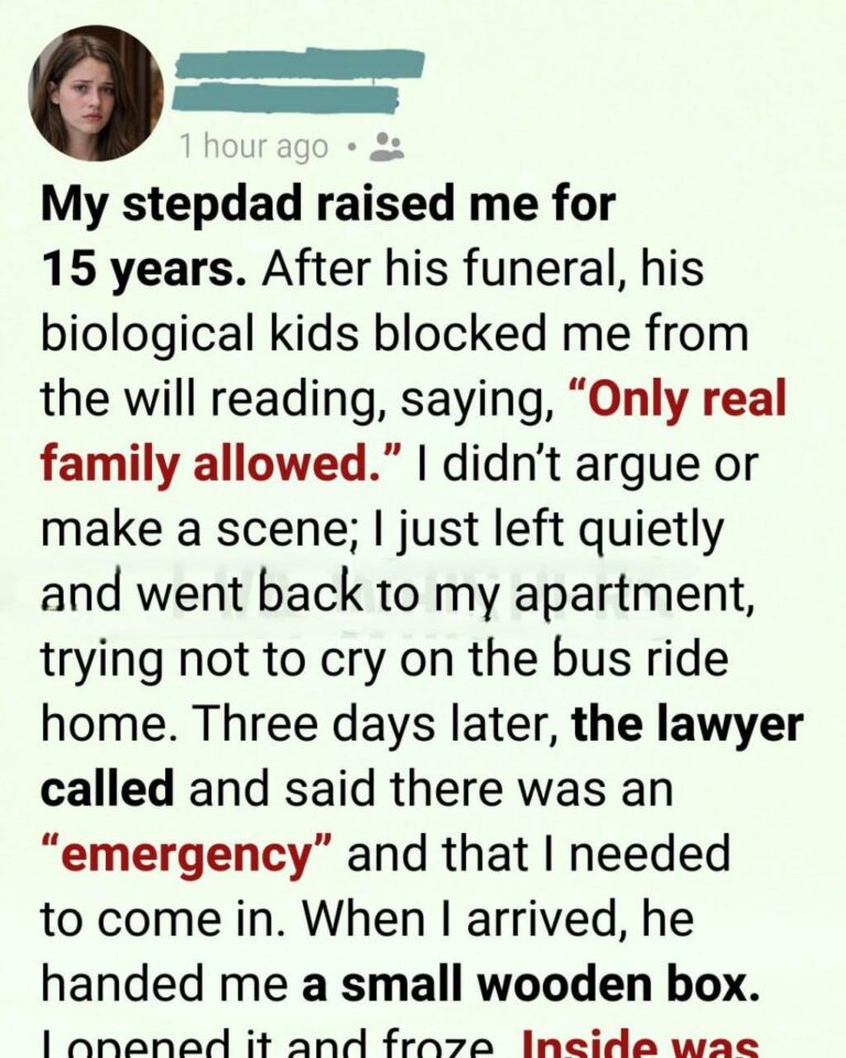I Was Asked to Leave My Stepfather’s Will Reading. Three Days Later, a Phone Call Changed Everything I Thought I Knew