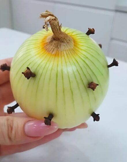 Why Placing Cloves in an Onion Is a Household Trick Worth Trying