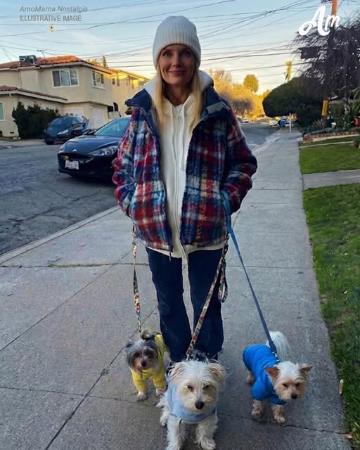 My Husband Tried to Sell My Animal Shelter to Build a House for His Pregnant Mistress – I Made Sure He Regretted It