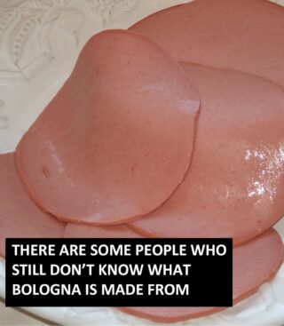 What Is Bologna Made Of?