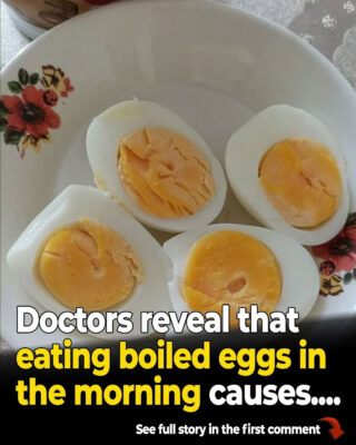 11 Things You Didn’t Know About Hard Boiled Eggs