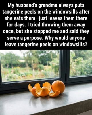 Don’t Toss Those Tangerine Peels—Put Them on Your Windowsills Instead