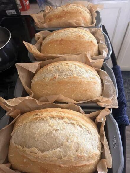The Best No-Knead Sandwich Bread Recipe – Soft, Fluffy & Incredibly Easy!