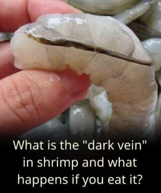 The “vein” of the shrimp: a little-known culinary detail