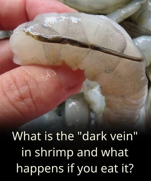 The “vein” of the shrimp: a little-known culinary detail