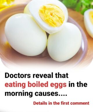 Doctors reveal that eating boiled eggs in the morning causes….