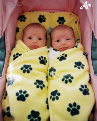 ‘Sorry Mom, I Couldn’t Leave Them,’ My 16-Year-Old Son Said When He Brought Newborn Twins Home
