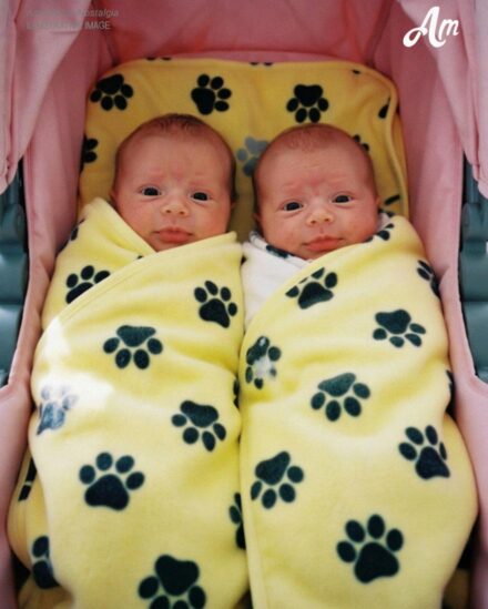 ‘Sorry Mom, I Couldn’t Leave Them,’ My 16-Year-Old Son Said When He Brought Newborn Twins Home
