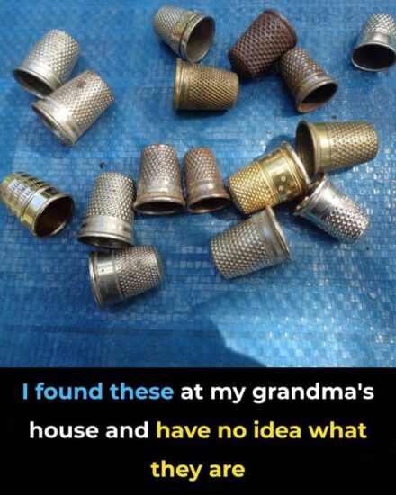 Most People Don’t Know What This Is — Here’s What It Actually Does