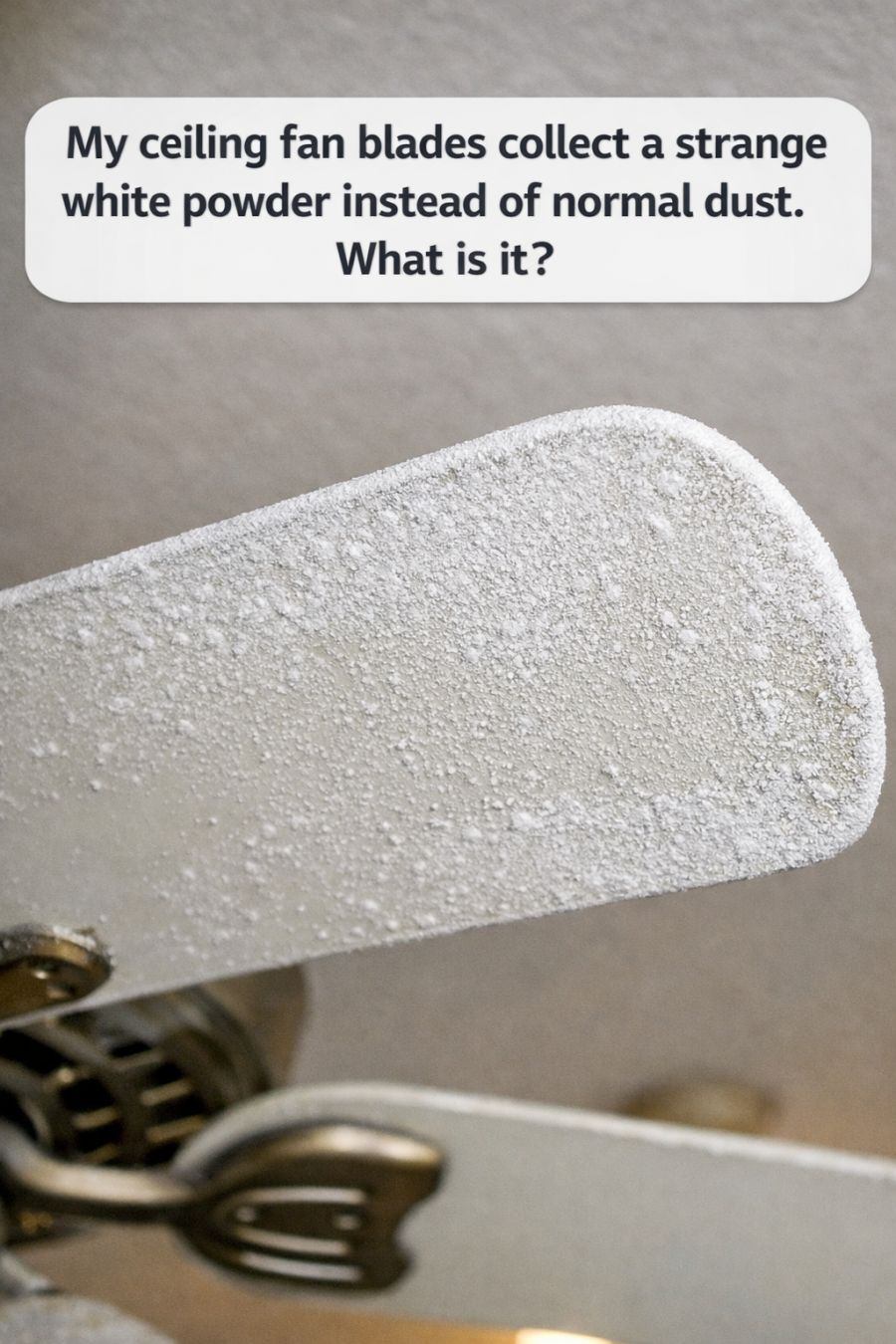 My ceiling fan blades collect a strange white powder instead of normal dust. What is it?