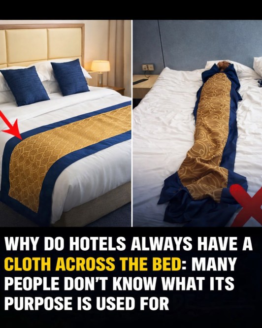 The Real Purpose of the Fabric Strip at the Foot of Hotel Beds