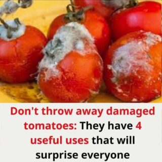 Don’t throw away damaged tomatoes: They have 4 useful uses thay will surprise everyone