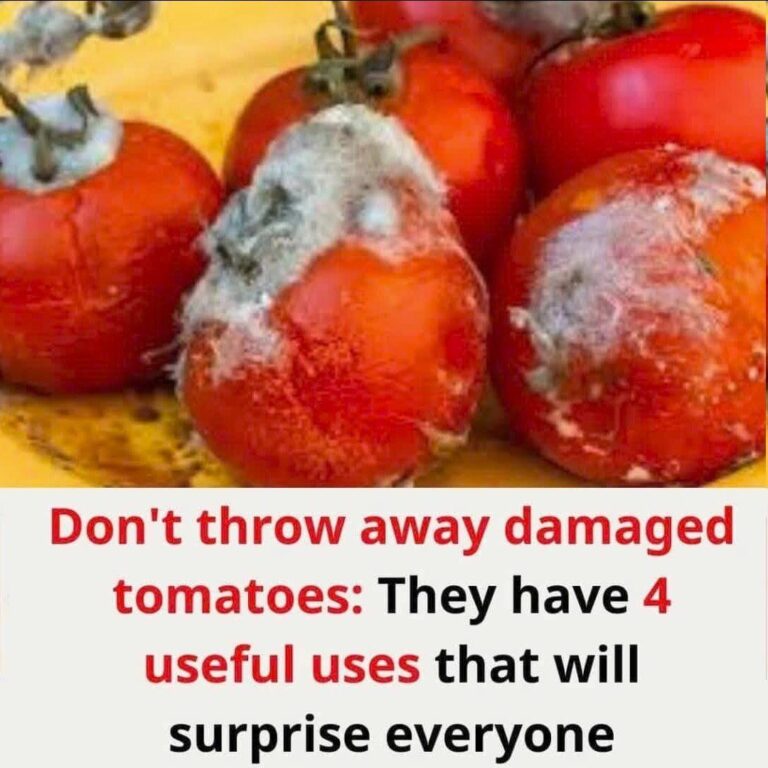 Don’t throw away damaged tomatoes: They have 4 useful uses thay will surprise everyone