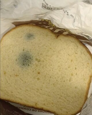 Can You Eat Moldy Bread? What You Need to Know About Food Safety