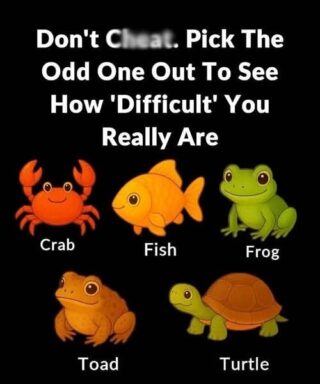 What your pick in a simple ‘odd one out’ quiz says about your thinking style and what your brain prioritizes