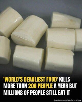 The ‘world’s deadliest food’ claims over 200 lives every year, yet nearly 500 million people still eat it